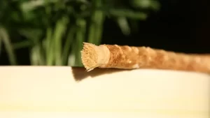 miswak