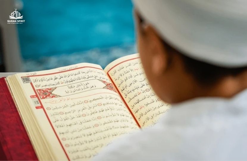 what is hafiz e quran